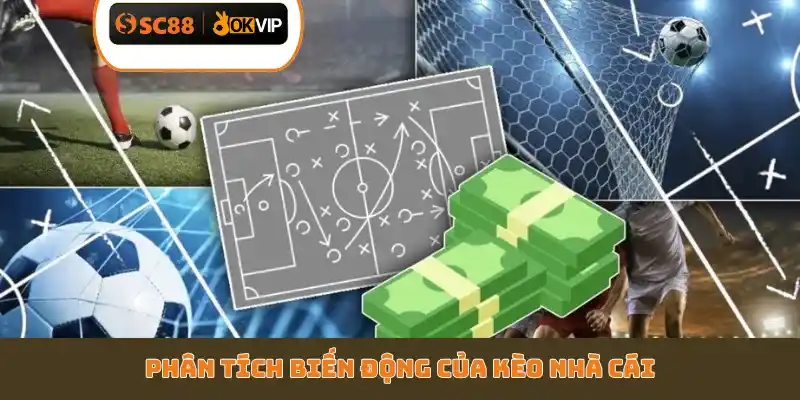 Phân tích biến động của kèo nhà cái