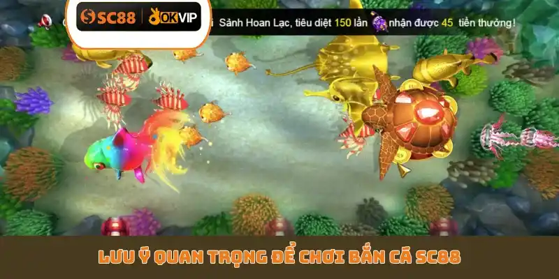 Lưu ý quan trọng để chơi bắn cá SC88